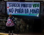 pedidos de amnistía