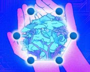 Las criptomonedas pueden ayudar a proteger la Amazonía ecuatoriana