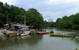 juicio por el caso Naranjal