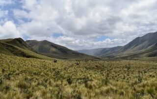 cuáles son las áreas protegidas en ecuador