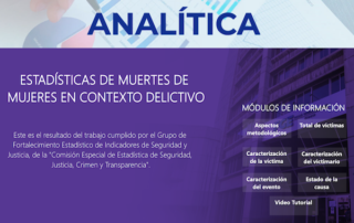 estadísticas de femicidio en Ecuador