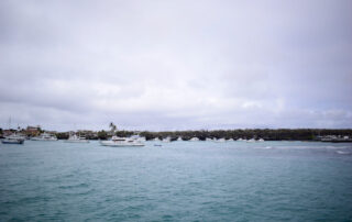 tipos de áreas protegidas