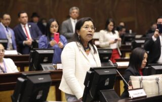 denuncias contra Guadalupe Llori