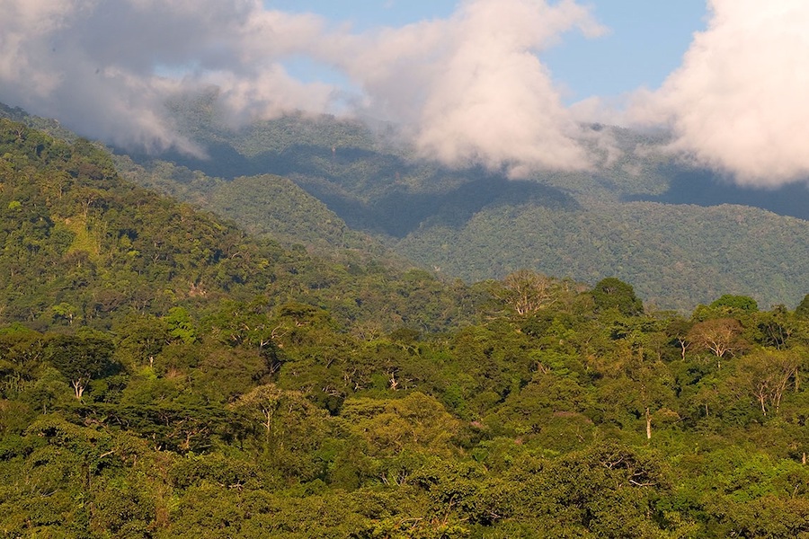 cordillera El Sira