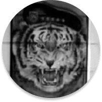 TIGUERONES-logo Svg+xml,%3Csvg%20xmlns%3D%27http%3A%2F%2Fwww.w3