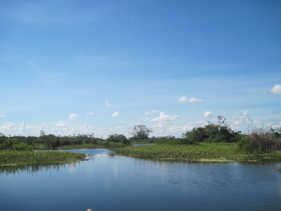 amazonía peruana