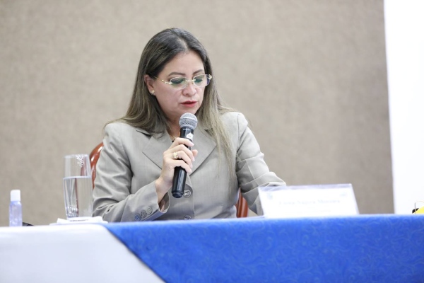 Elena Nájera en el pleno del CNE