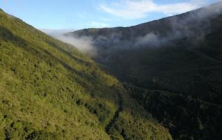 pregunta 7 de la consulta popular