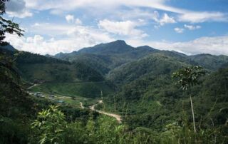 pregunta 8 de la consulta popular