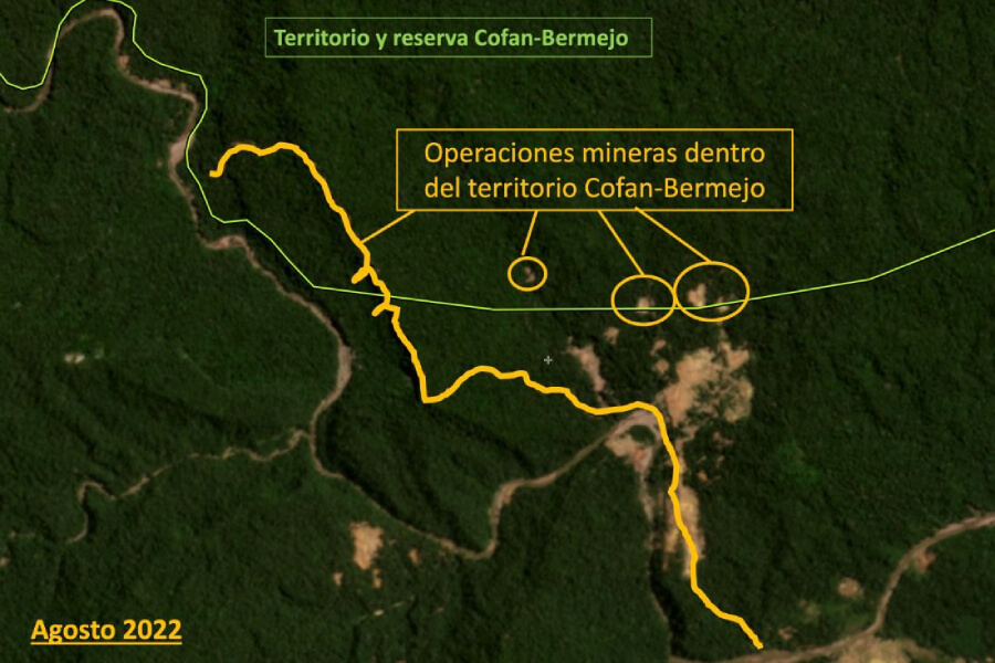 deforestación causada por la minería ilegal 