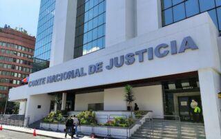 nulidad del caso singue