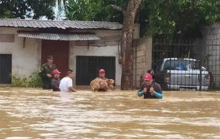 prevenir leptospirosis