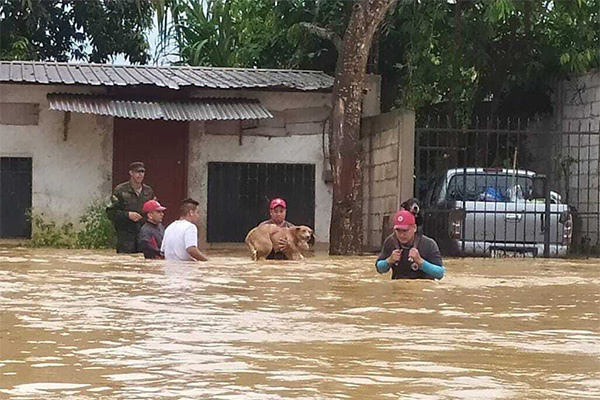 prevenir leptospirosis