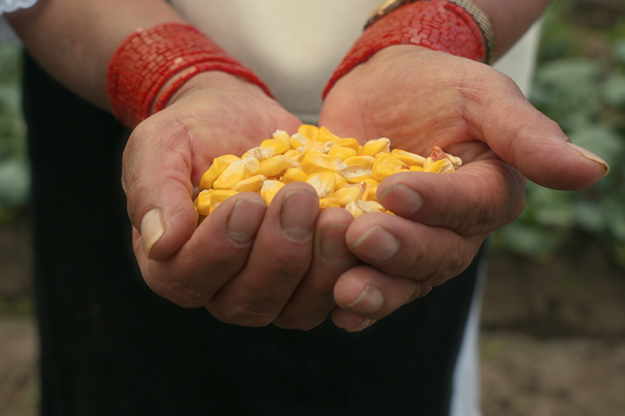 mujeres productoras