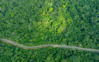caso Yasunidos, ishpingo