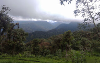 si gana el sí en consulta Chocó Andino