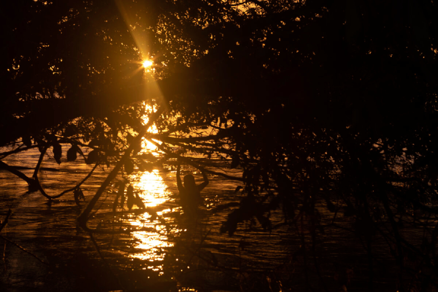 atardecer, consulta yasuní