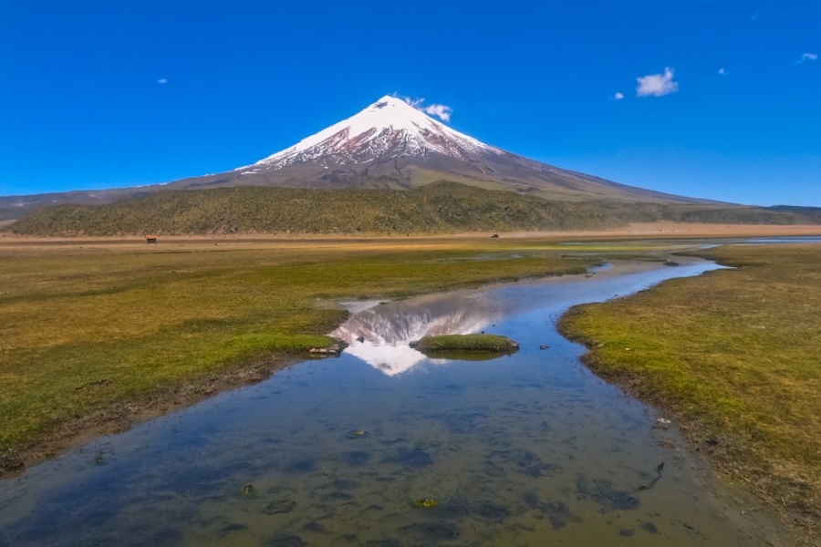 libros para conocer la naturaleza