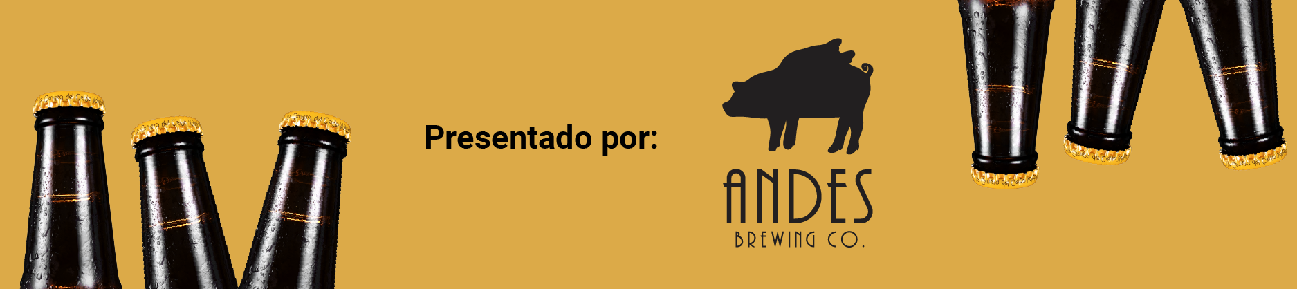 Banner Andes