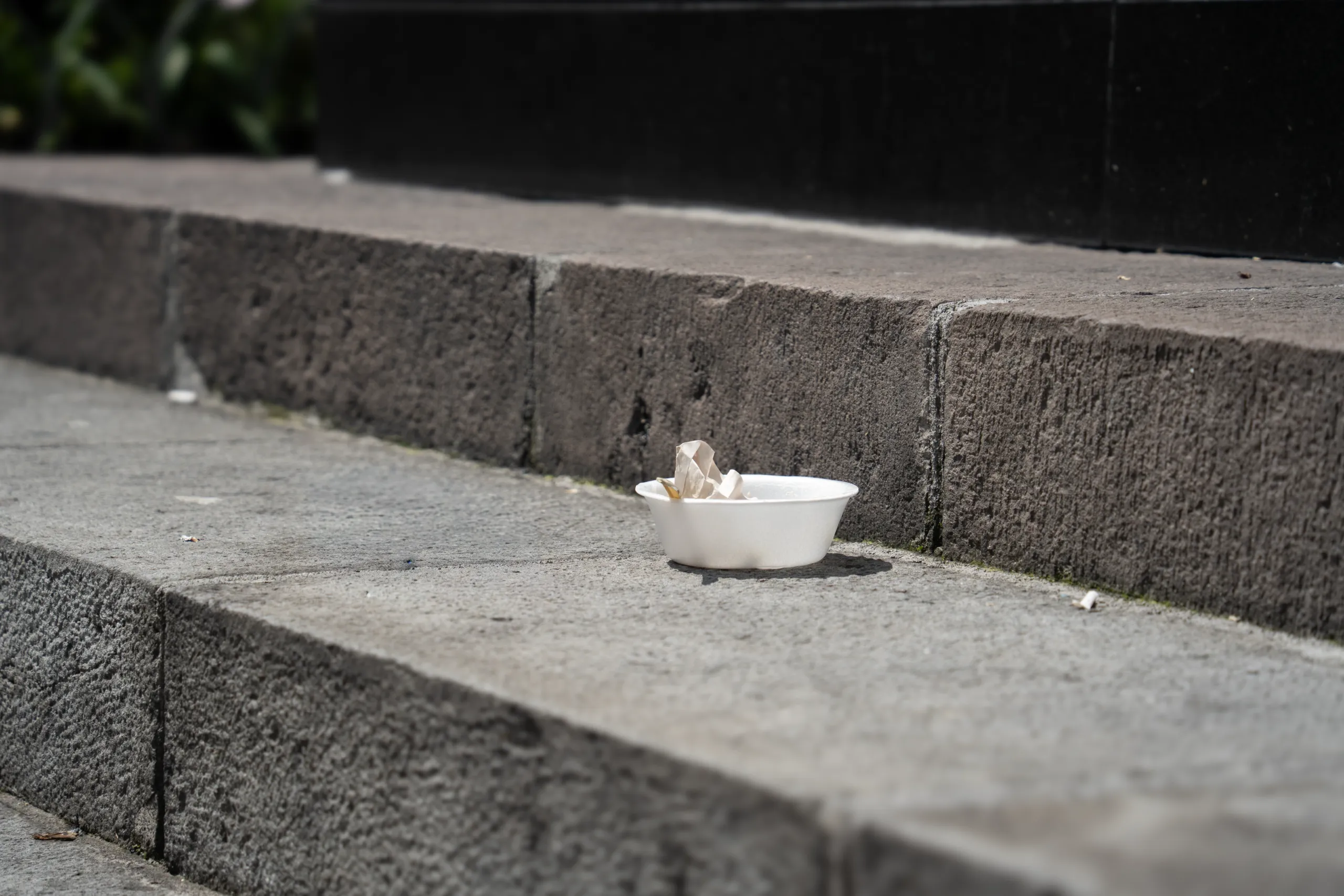 Descartables, desechables, alguna vez fueron solución, hoy son un dolor de cabeza ambiental. Descartables, desechables, alguna vez fueron solución, hoy son un dolor de cabeza ambiental.