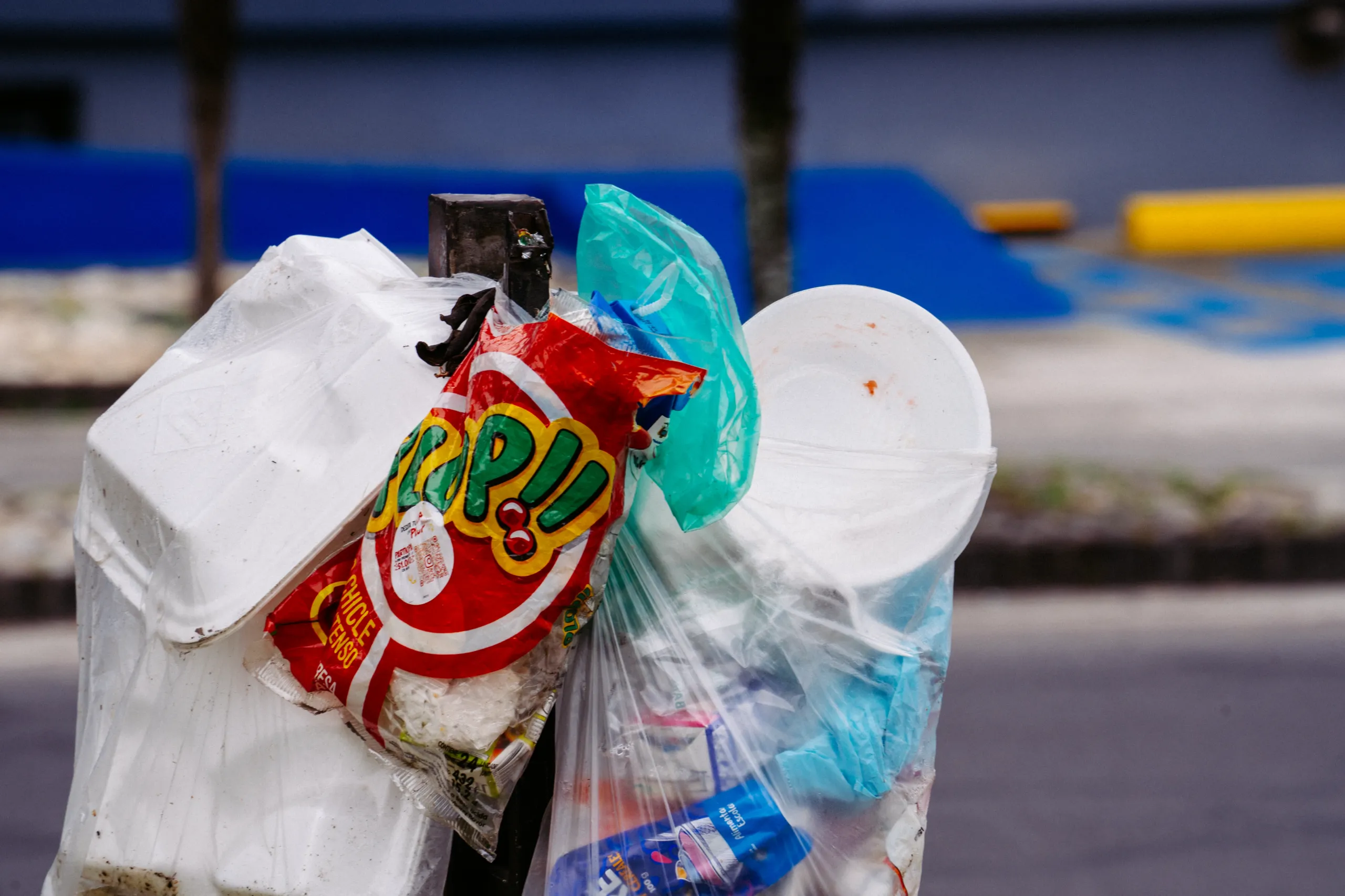 El destino de muchas es la basura El destino de muchas es la basura