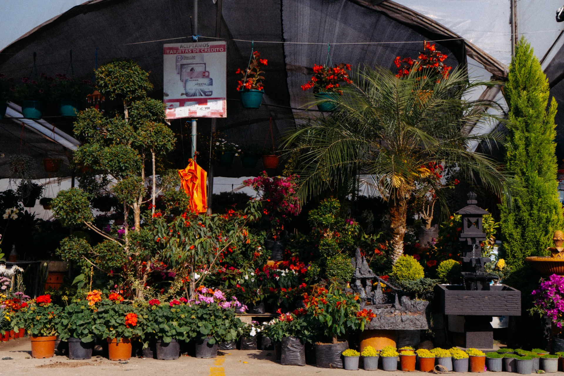 Un vivero en Nayón, donde solo parecen haber plantas Un vivero en Nayón, donde solo parecen haber plantas