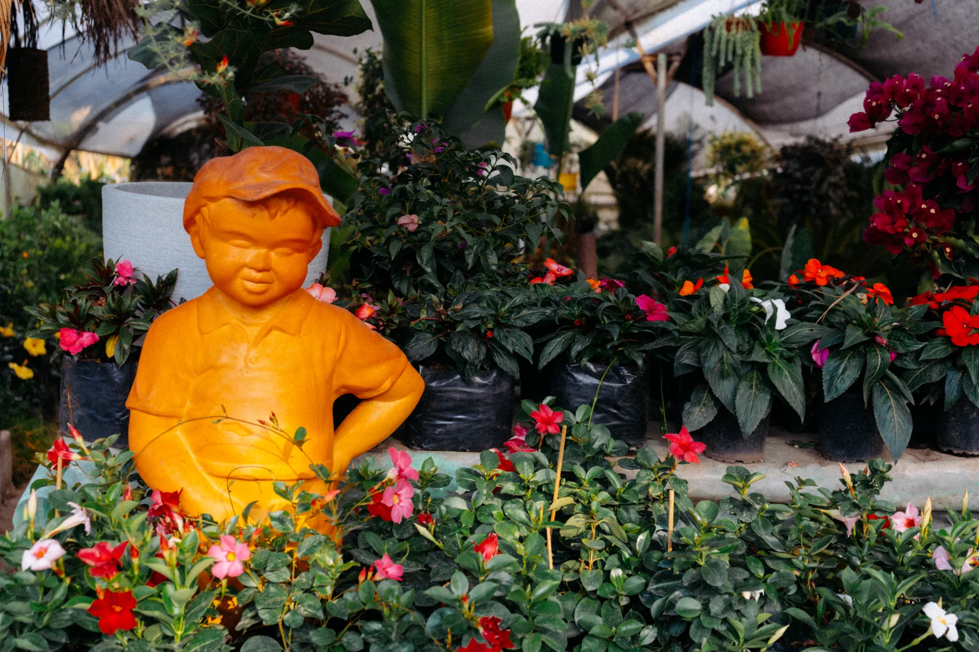 Un humano petrificado en un vivero de Nayón Un humano petrificado en un vivero de Nayón
