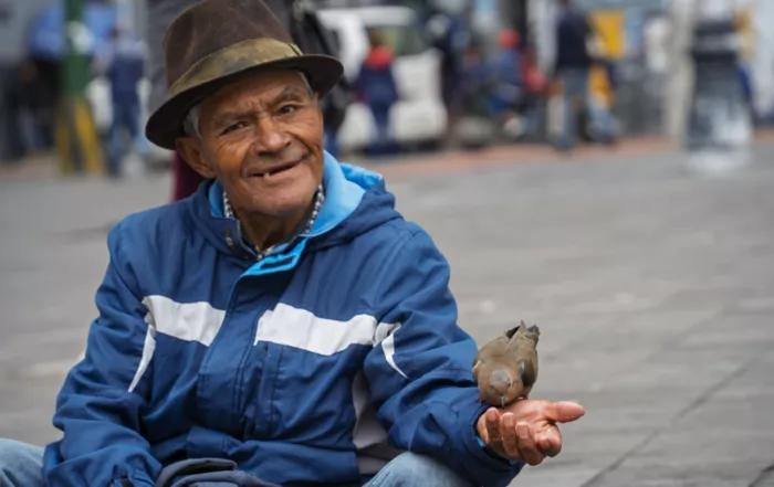 dar de comer a las palomas, eso hace Mario Alonso
