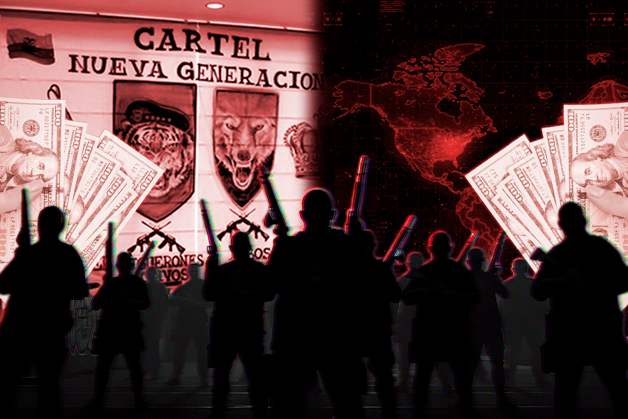 grupos de delincuencia organizada