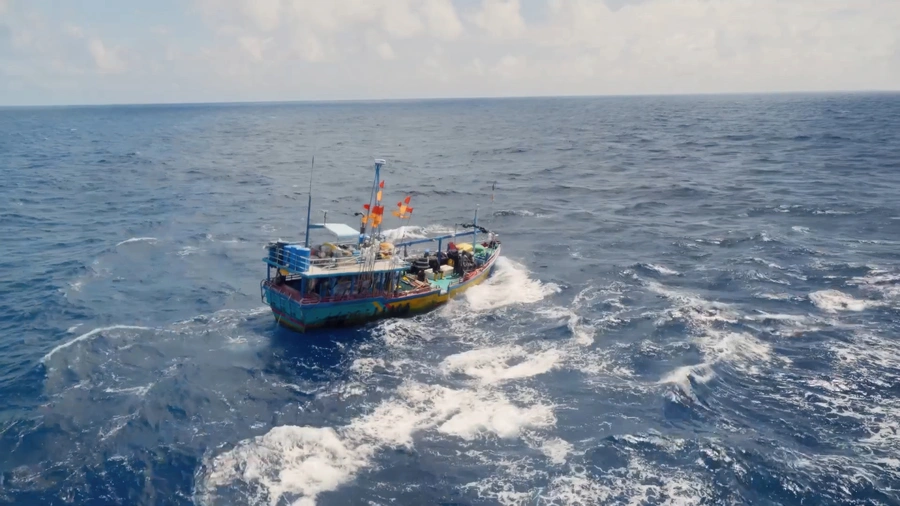 pequeño barco pesquero