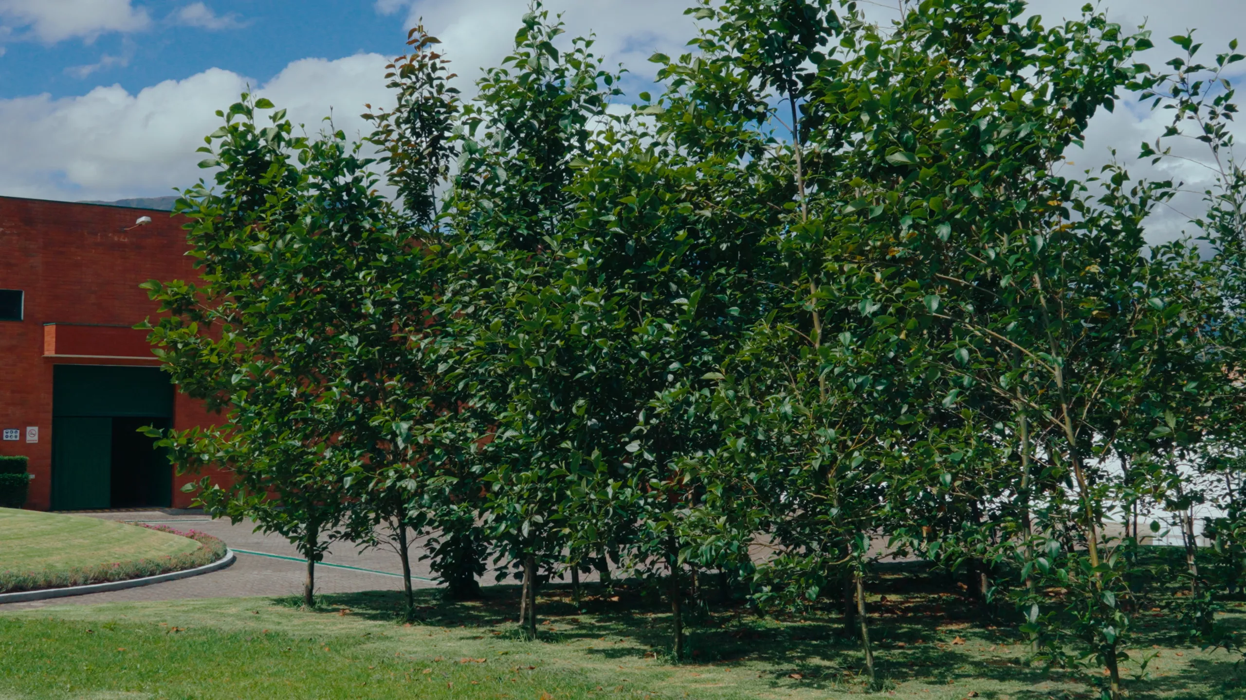 Una de las transformaciones más visibles son los paneles solares en el techo de la planta. Generan energía limpia que alimenta más del 50%de la producción.