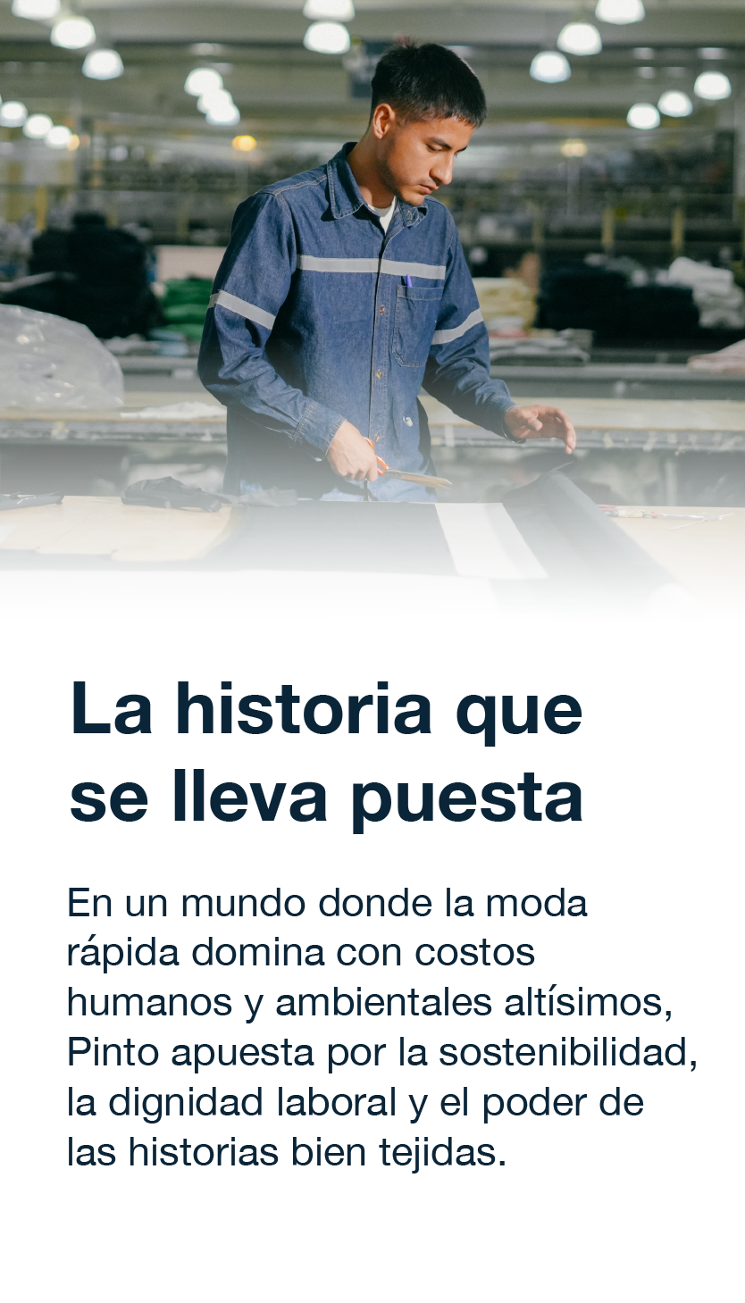 BANNER CC PINTO MOVILE