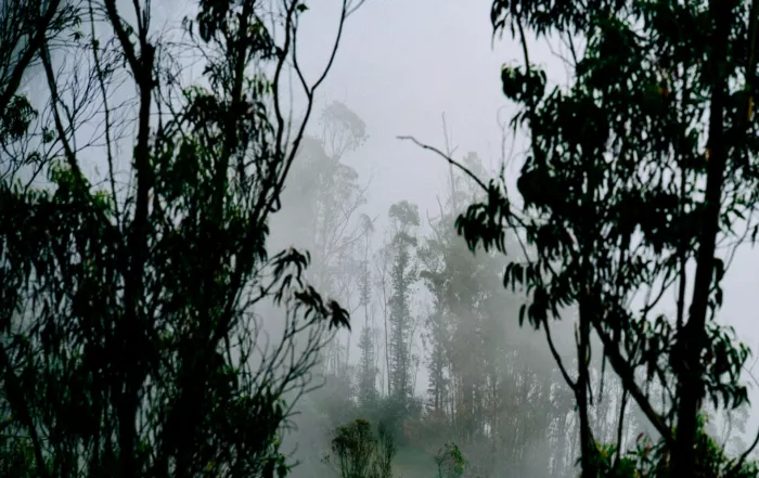 La neblina de Quito, omnipresente