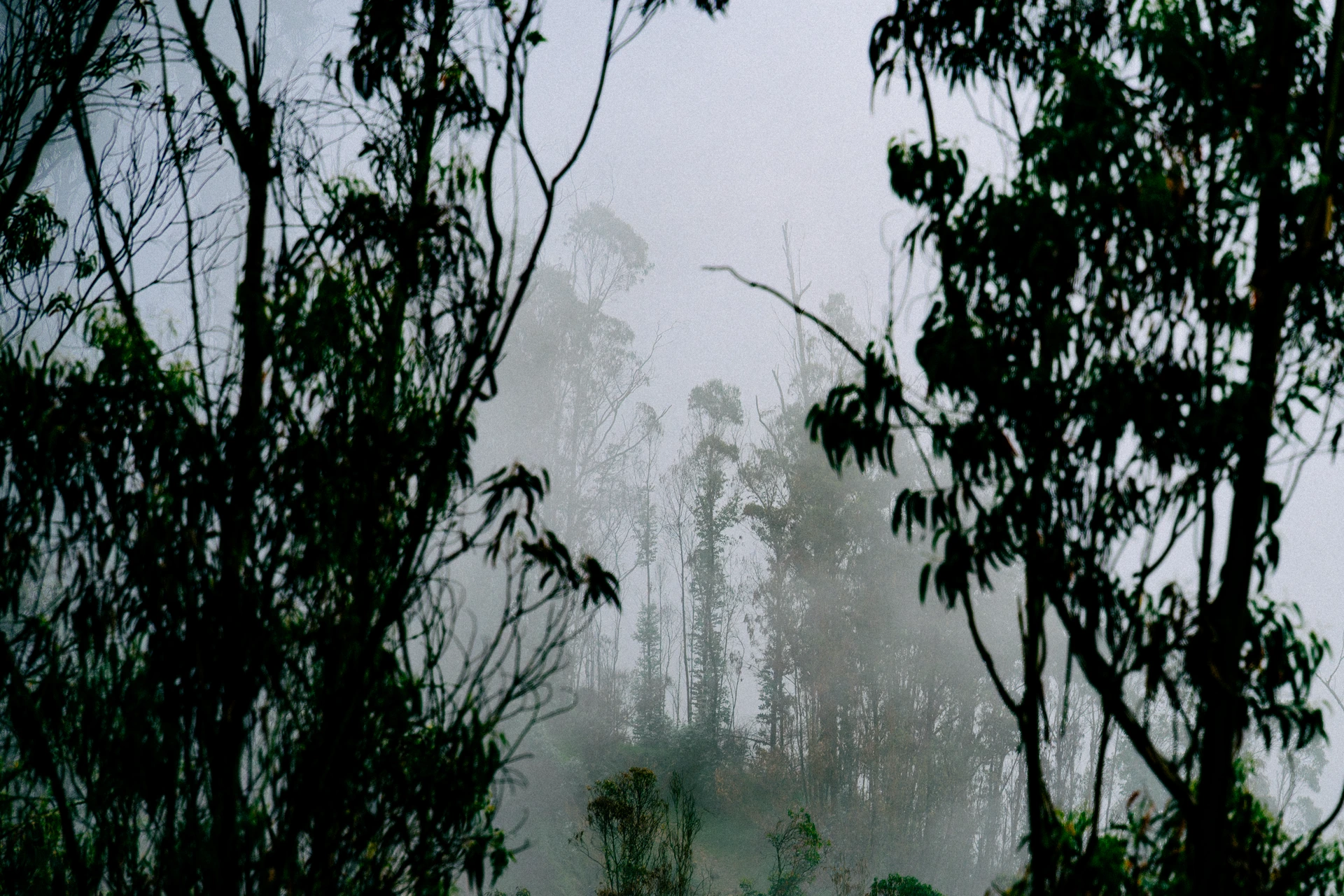 La neblina de Quito, omnipresente