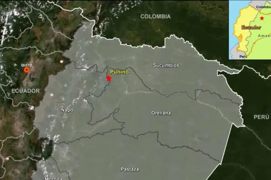 mapa alto punino