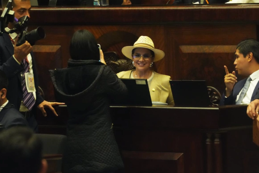 Mónica Salazar, Asamblea Nacional