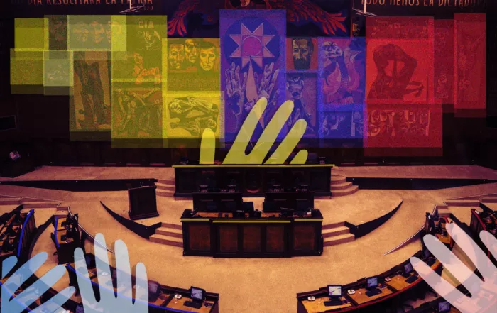 La Asamblea Nacional 2025-2029