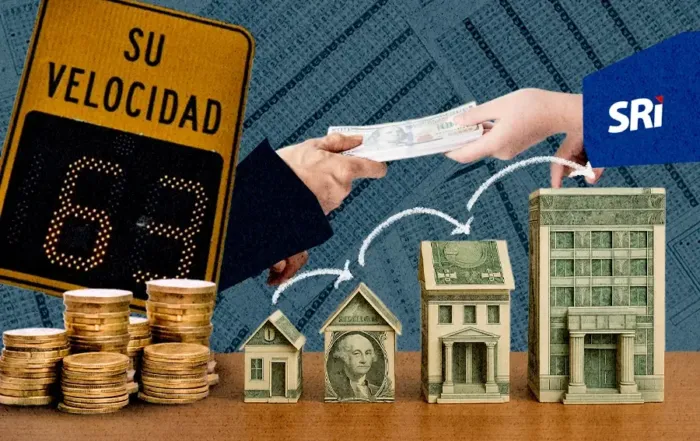disposiciones transitorias de la ley de integridad pública