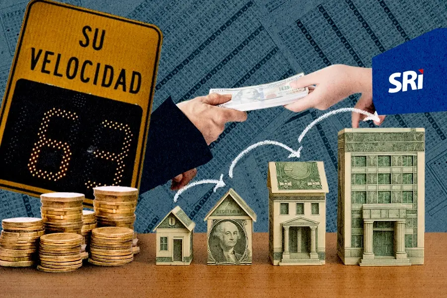 disposiciones transitorias de la ley de integridad pública