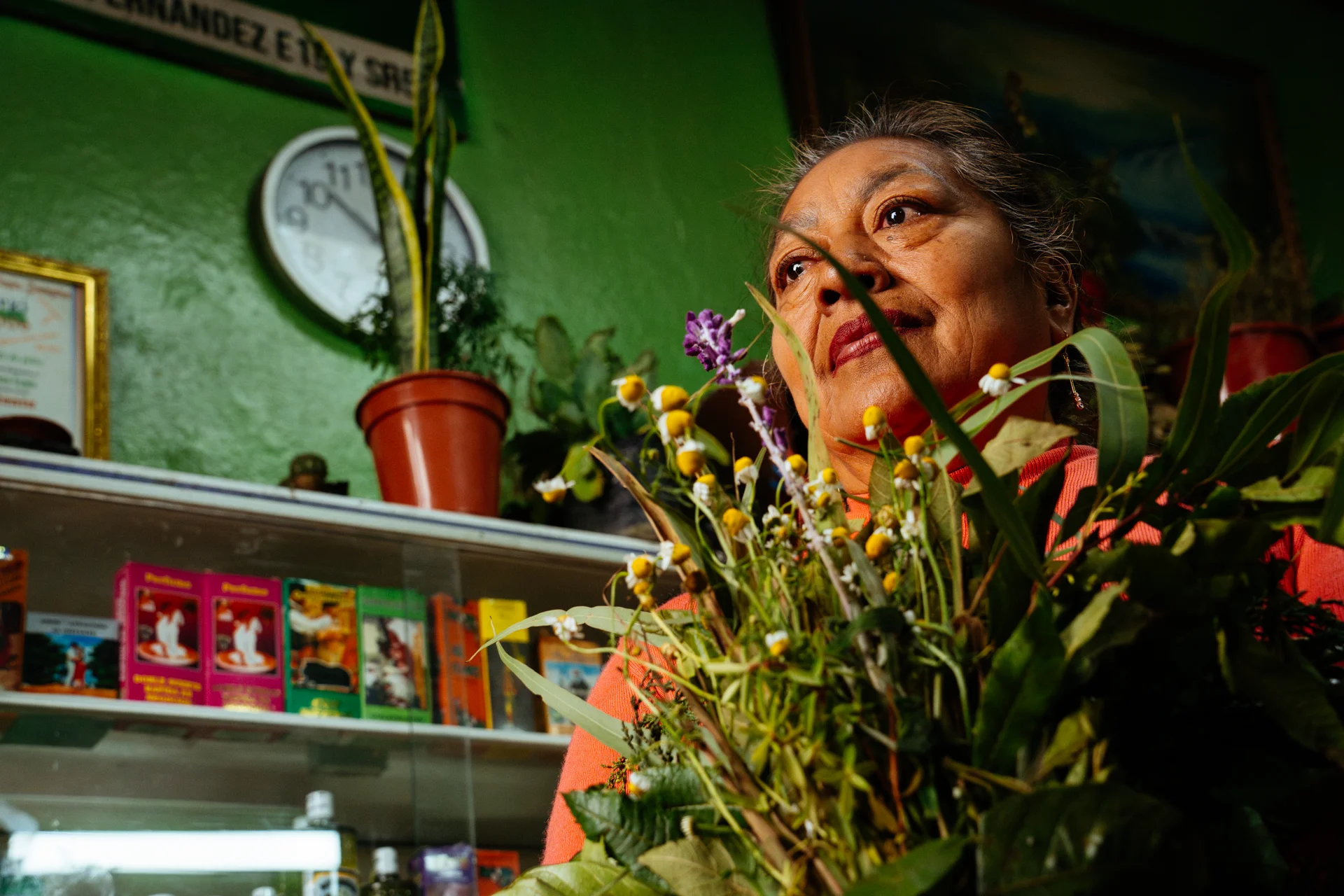 Rosa Lagla, una de las yerbateras de Quito