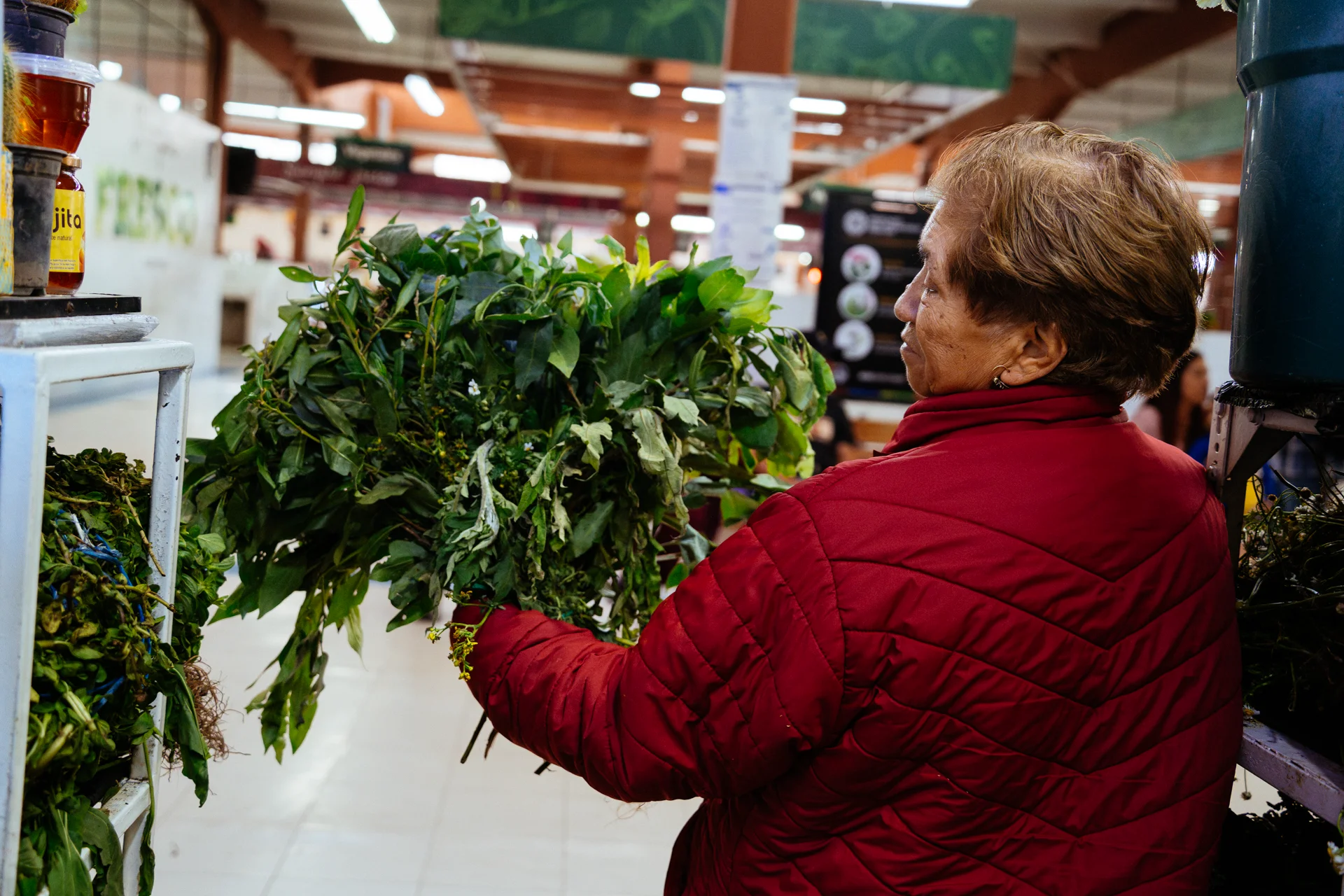 Emperatriz García, observa un atado de yerbas que pueden tener ruda, flor de muerto, santa maría, san pedro, mashua, ajos, ortiga, dormideras. Emperatriz García, observa un atado de yerbas que pueden tener ruda, flor de muerto, santa maría, san pedro, mashua, ajos, ortiga, dormideras.