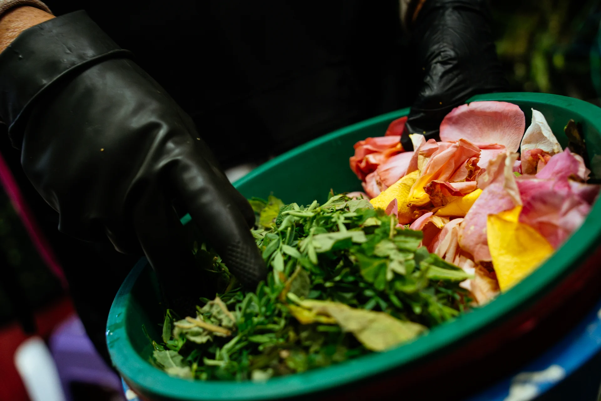Una de las yerbateras del mercado San Roque prepara las plantas para una limpia Una de las yerbateras del mercado San Roque prepara las plantas para una limpia