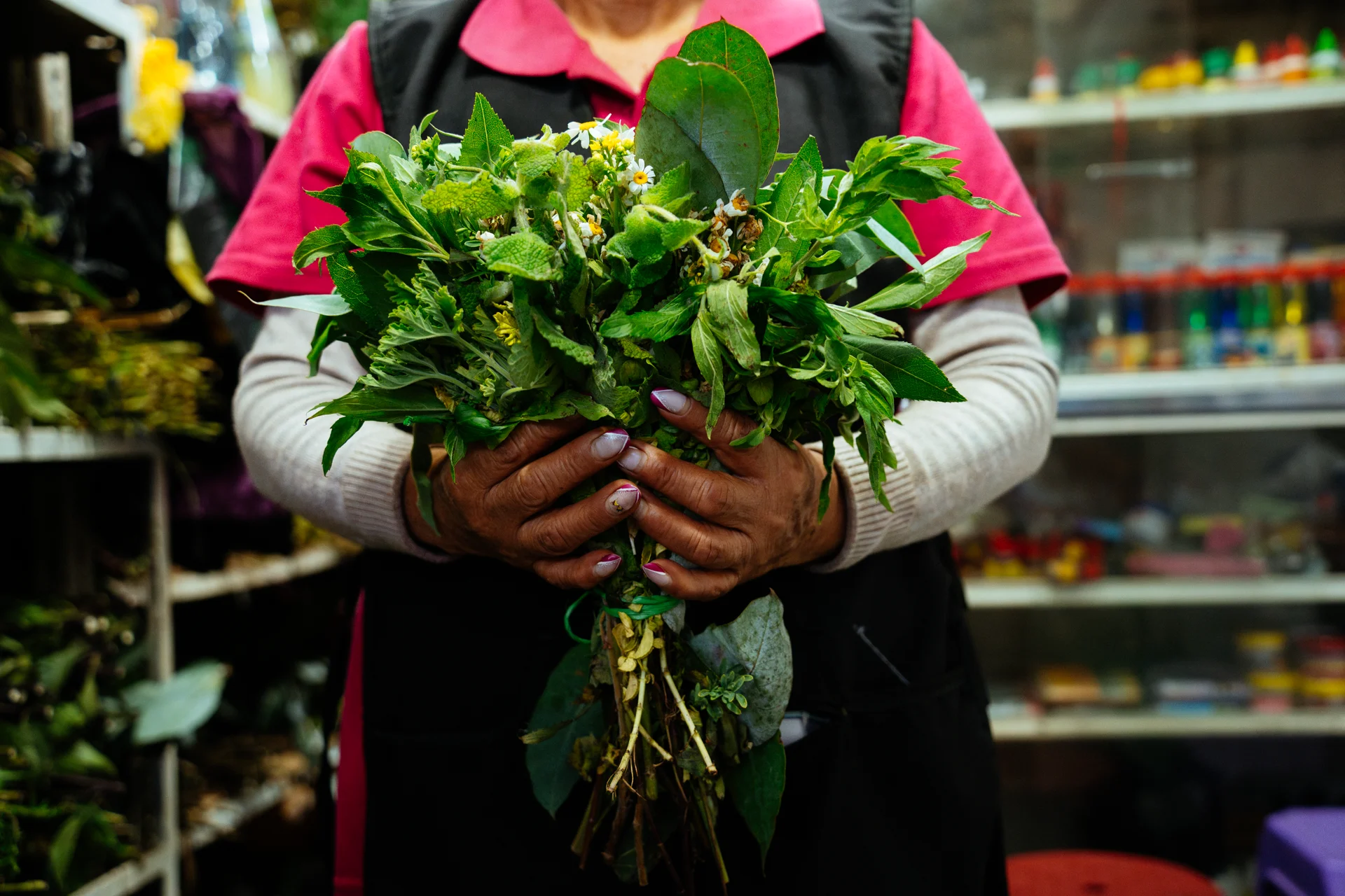 Rosa Lagla, sostiene un atado de yerbas dulces para limpia Rosa Lagla, sostiene un atado de yerbas dulces para limpia