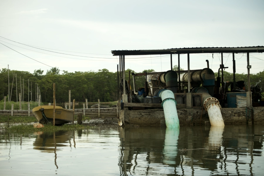 río Muisne