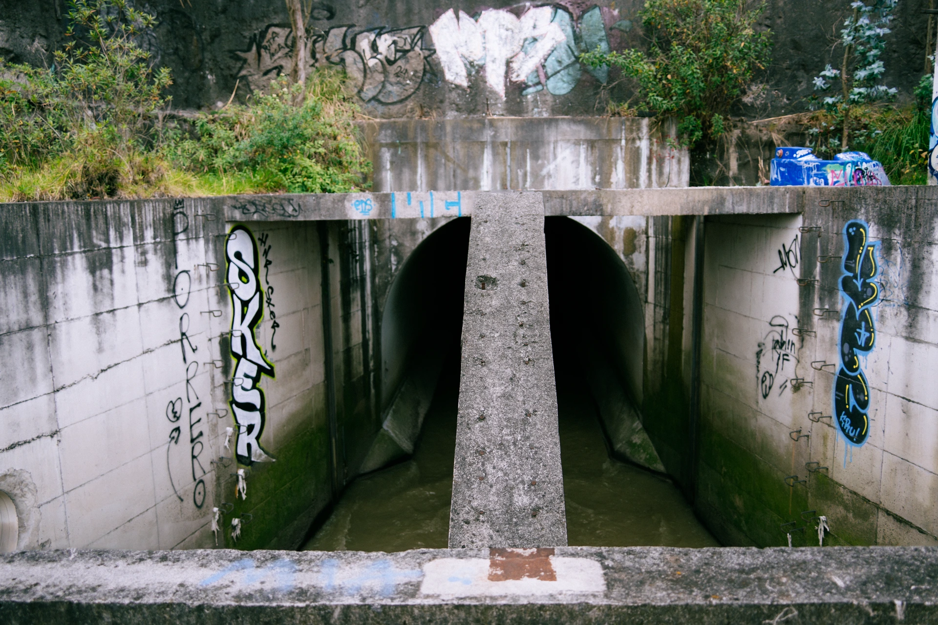 El graffiti se apodera de la cloaca