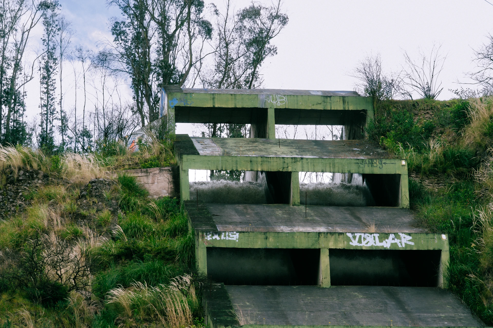 Las cloacas, en detalle