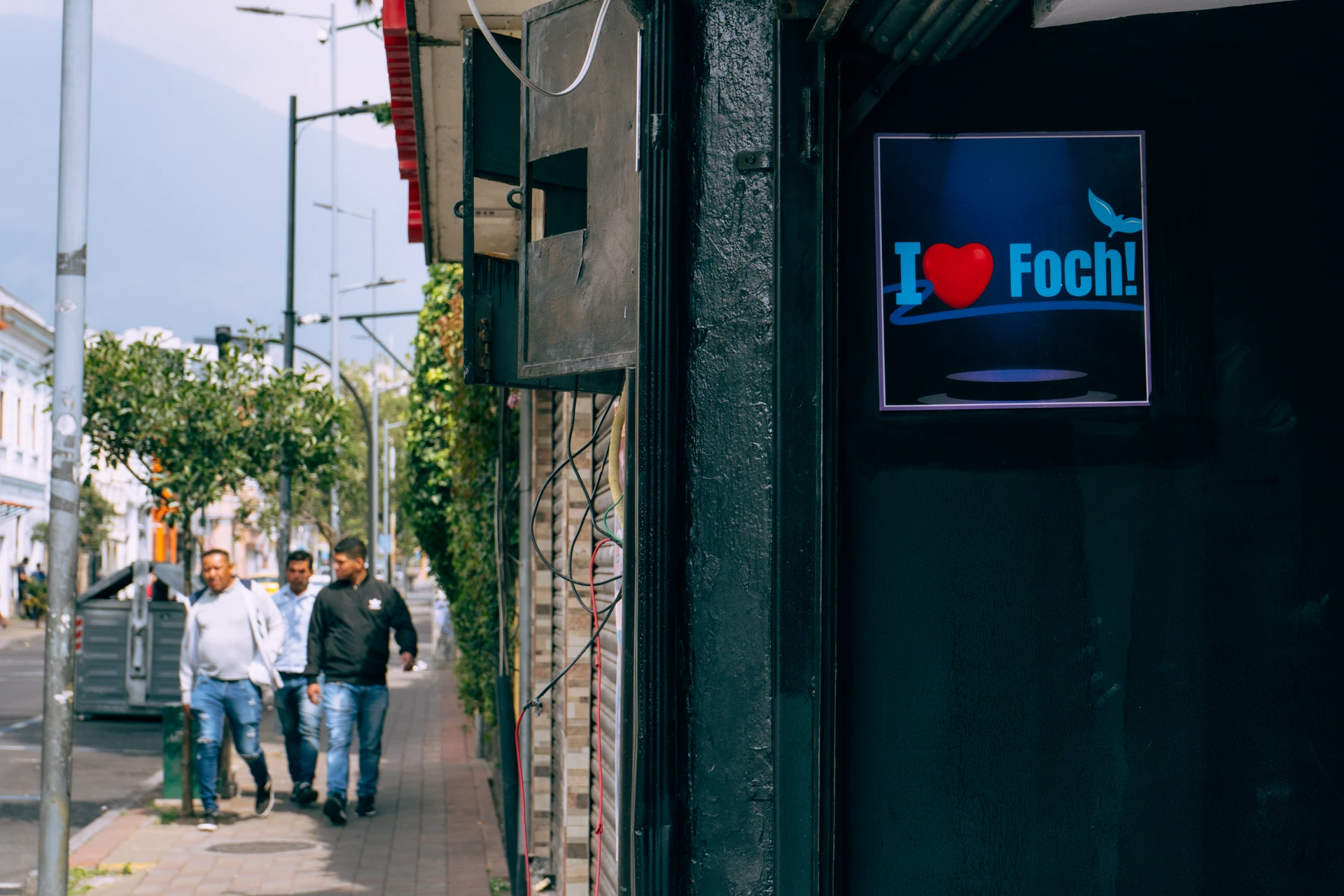I love Foch, really? I love Foch, really?