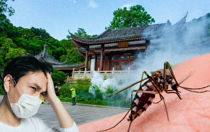 Desde julio de 2025 en China hubo más de 8.000 casos de chikungunya.