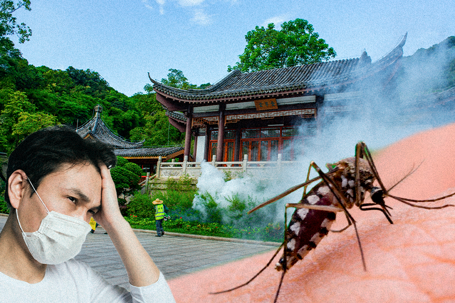 Desde julio de 2025 en China hubo más de 8.000 casos de chikungunya.