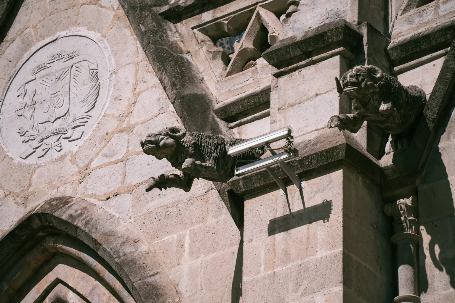 Las gárgolas vigilan la Basílica de Quito